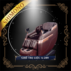 GHẾ TRỊ LIỆU A-289